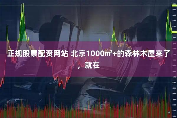 正规股票配资网站 北京1000㎡+的森林木屋来了，就在