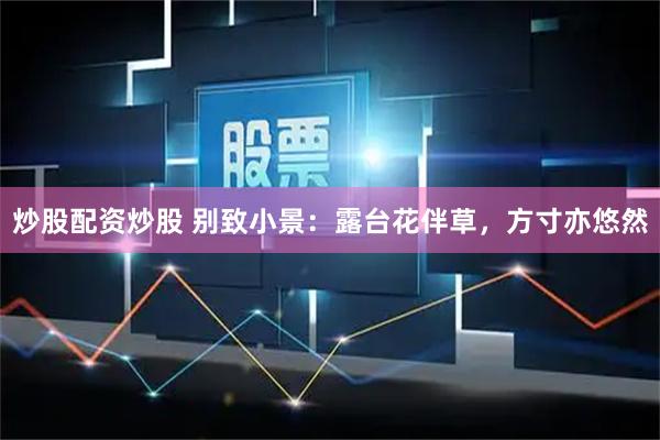 炒股配资炒股 别致小景：露台花伴草，方寸亦悠然