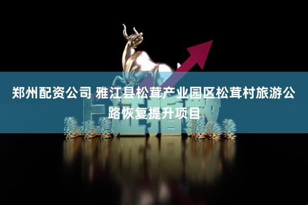 郑州配资公司 雅江县松茸产业园区松茸村旅游公路恢复提升项目